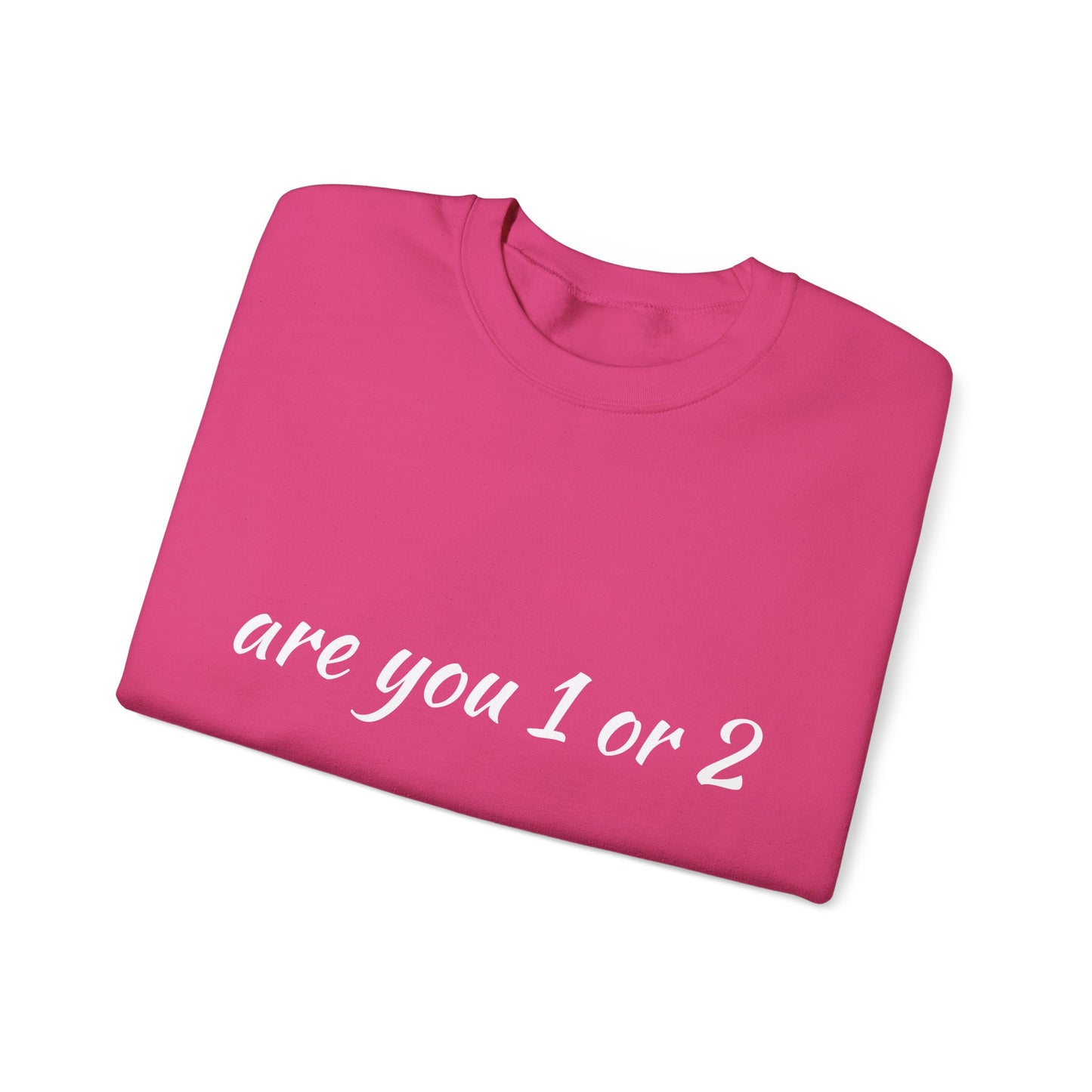 Are You 1 or 2? Pickleball Crewneck Sweatshirt
